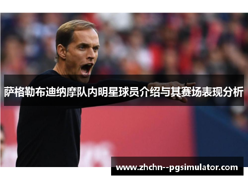 萨格勒布迪纳摩队内明星球员介绍与其赛场表现分析