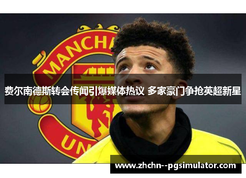 费尔南德斯转会传闻引爆媒体热议 多家豪门争抢英超新星