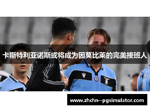 卡斯特利亚诺斯或将成为因莫比莱的完美接班人 卡斯特利亚诺斯或将成为因莫比莱的完美接班人