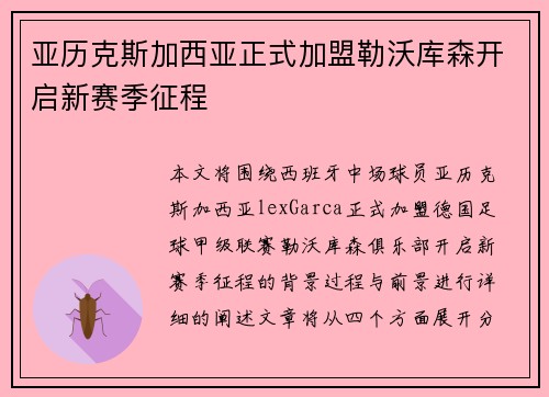 亚历克斯加西亚正式加盟勒沃库森开启新赛季征程